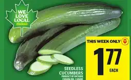 Food Basics SEEDLESS CUCUMBERS offer