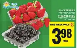 Food Basics BLACKBERRIES offer