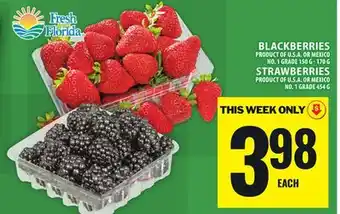 Food Basics BLACKBERRIES offer