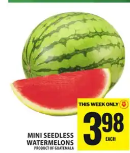 Food Basics MINI SEEDLESS WATERMELONS offer