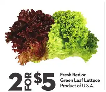 Longo's Fresh Red or Green Leaf Lettuce offer