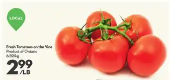 Longo's Fresh Tomatoes on the Vine offer