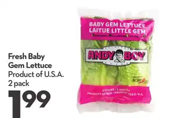 Longo's Fresh Baby Gem Lettuce offer