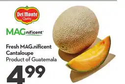 Longo's Fresh MAG nificent Cantaloupe offer