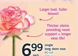 Fortinos SINGLE LONG STEM ROSE, 60 CM offer