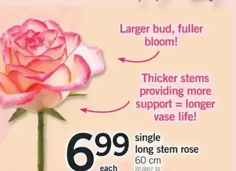 Fortinos SINGLE LONG STEM ROSE, 60 CM offer