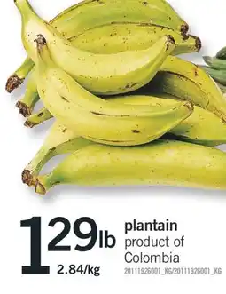 Fortinos PLANTAIN offer