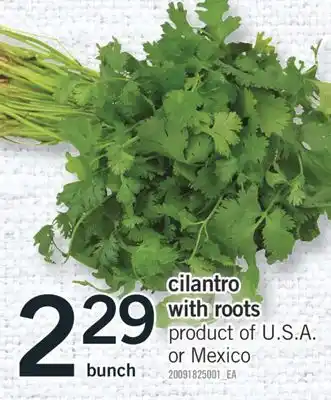 Fortinos CILANTRO WITH ROOTS offer