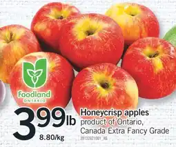 Fortinos HONEYCRISP APPLES offer