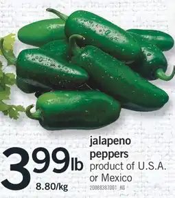 Fortinos JALAPENO PEPPERS offer