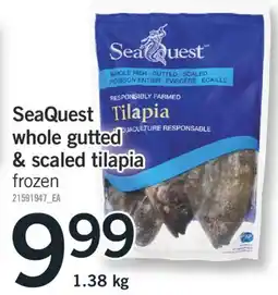 Fortinos SEAQUEST WHOLE GUTTED SCALED TILAPIA, 1.38 KG offer