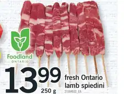 Fortinos FRESH ONTARIO LAMB SPIEDINI, 250 G offer