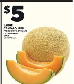 Loblaws LARGE CANTALOUPES offer