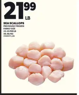 Loblaws SEA SCALLOPS 25-35 PER LB offer