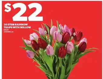 Loblaws 20 STEM RAINBOW TULIPS WITH WILLOW offer