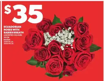 Loblaws ECUADORIAN ROSES WITH BABIES BREATH 50CM DOZEN offer