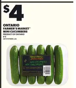 Loblaws FARMER'S MARKET MINI CUCUMBERS, 6'S offer