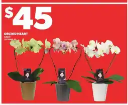 Loblaws ORCHID HEART offer