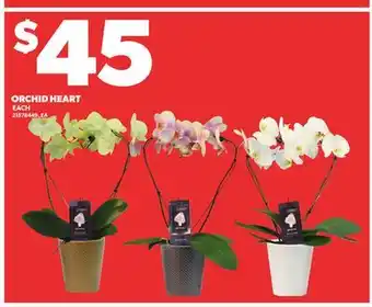 Loblaws ORCHID HEART offer