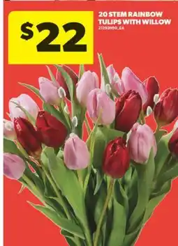 Real Canadian Superstore 20 STEM RAINBOW TULIPS WITH WILLOW offer