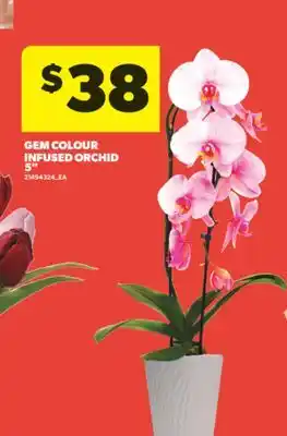 Real Canadian Superstore GEM COLOUR INFUSED ORCHID 5 offer