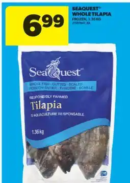 Real Canadian Superstore SEAQUEST WHOLE TILAPIA, 1.36 KG offer