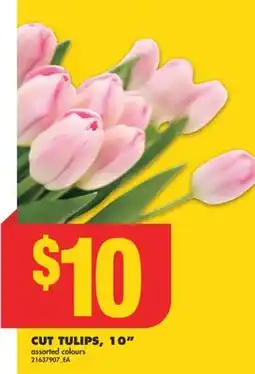 No Frills CUT TULIPS, 10 offer