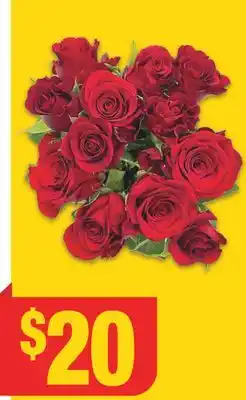 No Frills DOZEN ROSES offer