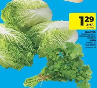 Real Canadian Superstore CILANTRO, NAPA offer