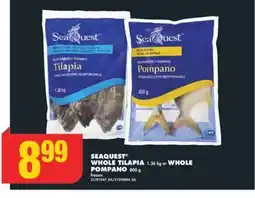 No Frills SEAQUEST WHOLE TILAPIA 1.36 KG OR WHOLE POMPANO 800 G offer