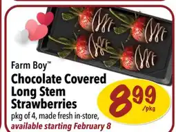 Farm Boy Farm Boy Chocolate Covered Long Stem Strawberries offer