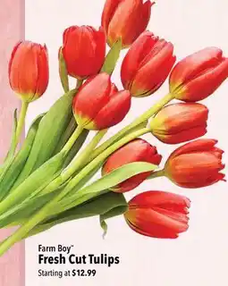 Farm Boy Farm Boy Fresh Cut Tulips offer