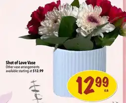 Farm Boy Shot of Love Vase offer