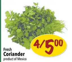 Farm Boy Fresh Coriander offer