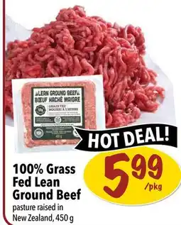 Farm Boy 100% Grass Fed Lean Ground Beef offer