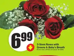 FreshCo 3-Stem Roses with Greens & Baby's Breath offer