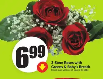 FreshCo 3-Stem Roses with Greens & Baby's Breath offer