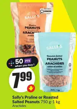 FreshCo Sally's Praline or Roasted Salted Peanuts 750 g-1 kg offer