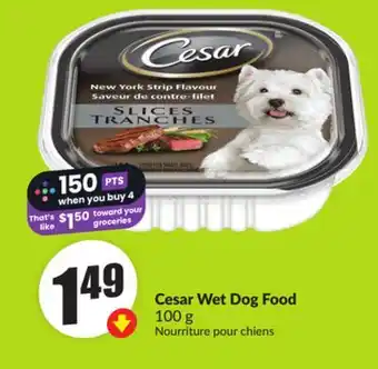 FreshCo Cesar Wet Dog Food 100g offer