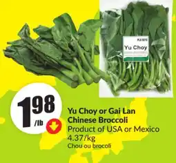 FreshCo Yu Choy or Gai Lan Chinese Broccoli Product of USA or Mexico 4.37/kg offer