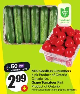 FreshCo Mini Seedless Cucumbers 6 pk Product of Ontario Canada No. 1 Grape Tomatoes Pint Product of Ontario offer