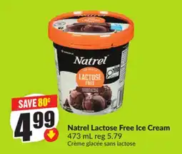 FreshCo Natrel Lactose Free Ice Cream 473mL offer