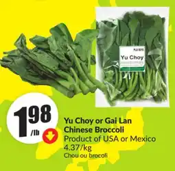 Chalo FreshCo Yu Choy or Gai Lan Chinese Broccoli Product of USA or Mexico 4.37/kg offer