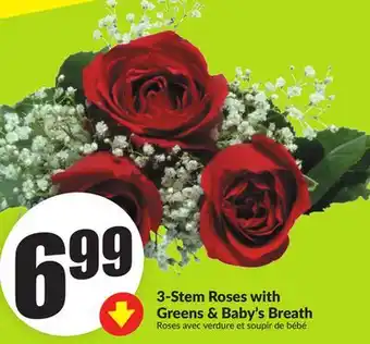 Chalo FreshCo 3-Stem Roses with Greens & Baby's Breath offer