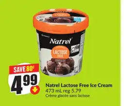 Chalo FreshCo Natrel Lactose Free Ice Cream 473 mL offer