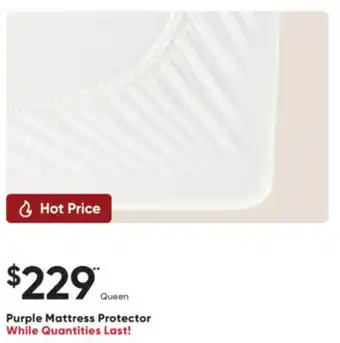 Sleep Country Purple Mattress Protector offer