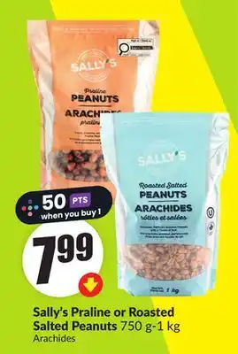 Chalo FreshCo Sally's Praline or Roasted Salted Peanuts 750 g offer