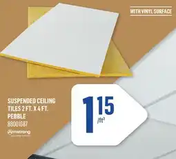 Canac Suspended Ceiling Tiles 2 ft. X 4 ft. Pebble offer