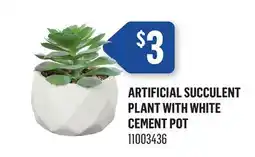 Canac Artificial Succulent Plant with White Cement Pot offer