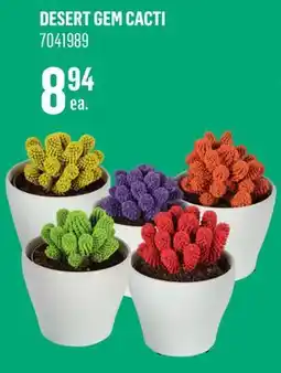 Canac Desert Gem Cacti offer